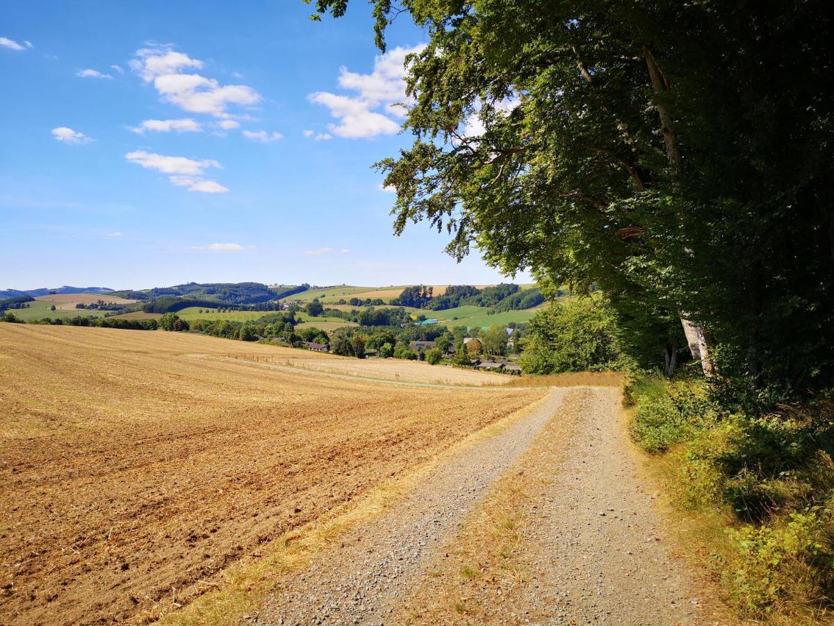Haus Julia Direkt Am Hennesee Mitten Im Sauerland Meschede Εξωτερικό φωτογραφία